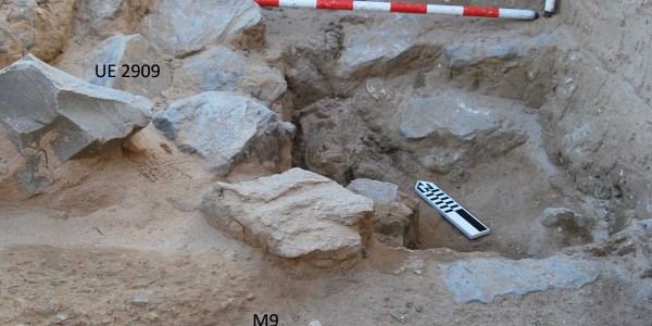 Restos arqueozoológicos de atunes (Baelo Claudia, 2004)